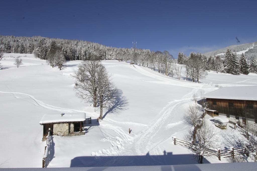 Eberharthof Apartman Saalbach-Hinterglemm Kültér fotó
