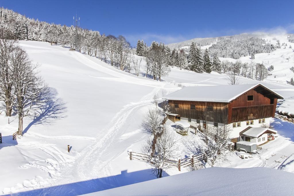 Eberharthof Apartman Saalbach-Hinterglemm Kültér fotó